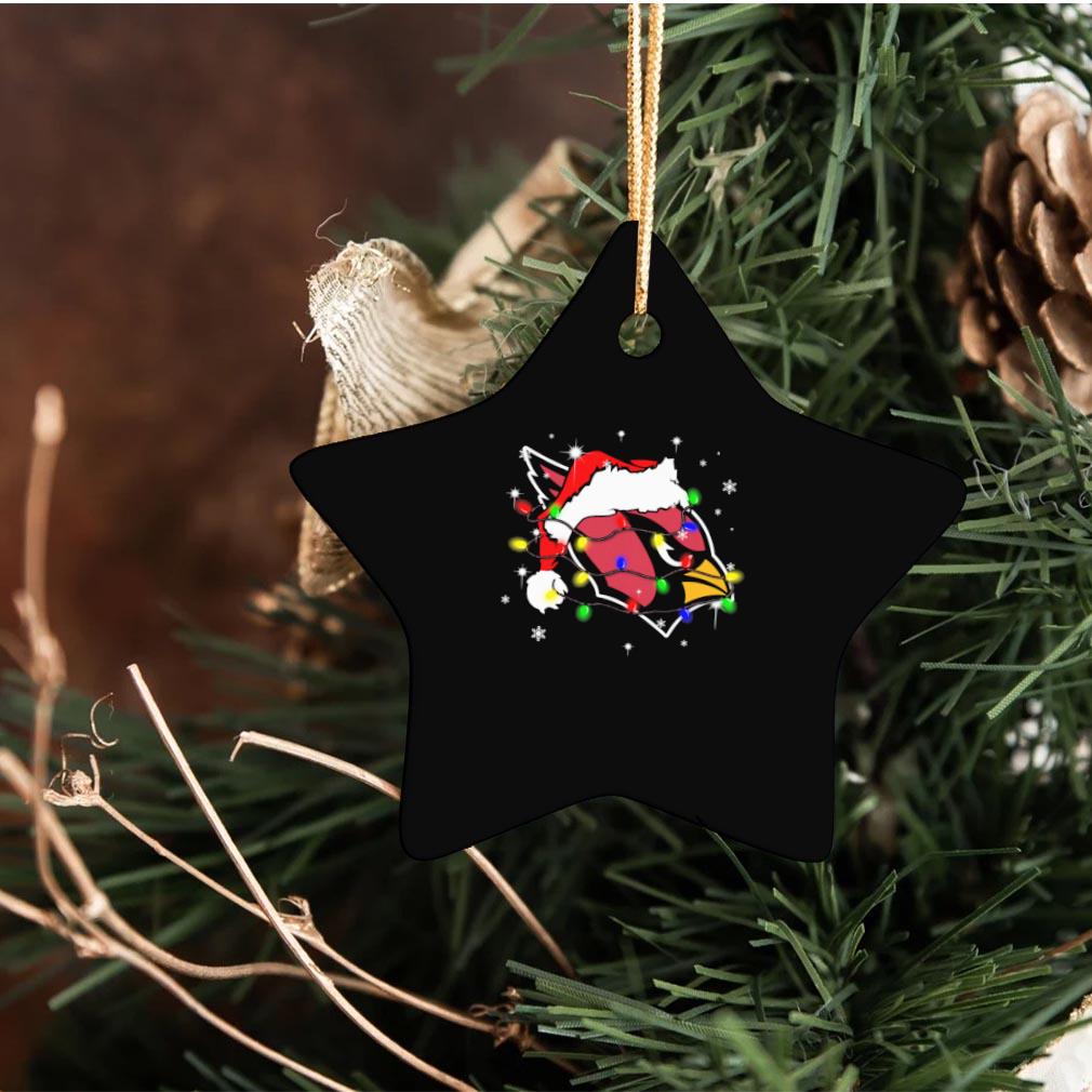 Atlanta Falcons Santa Hat Christmas Light Ornament Christmas - 2020  Coloringshirts News